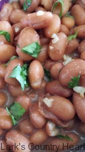 Garlic Cilantro Pinto Beans