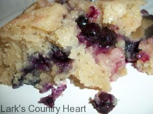 Country Fresh Blueberry Cake