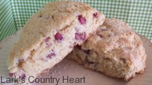 Buttermilk Pomagranate Scones