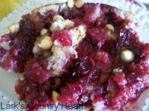 Slow Cooker Double Berry Cobbler