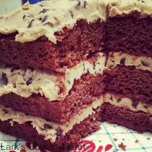 Mocha Chocolate Torte with Cookie Dough Filling