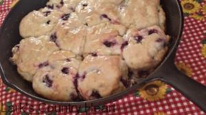 Blueberry Biscuits1