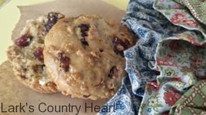 Cran-Raisin Bran Morning Muffins