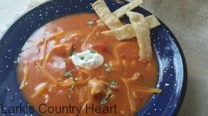 Creamy Chicken Enchilada Soup