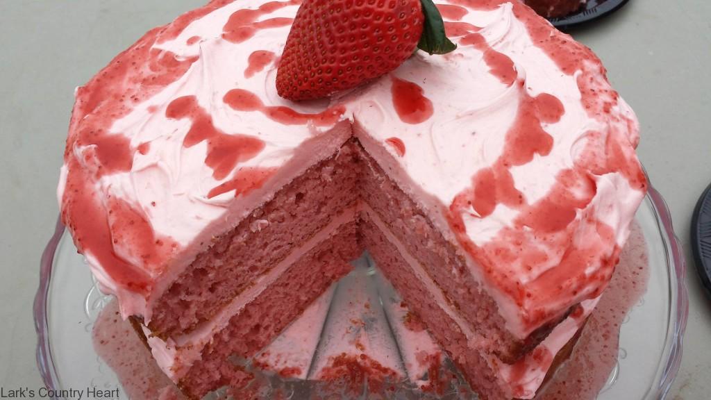 Strawberry Cake 2