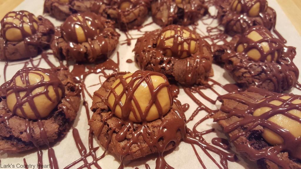 Buckeye Brownie Bites1